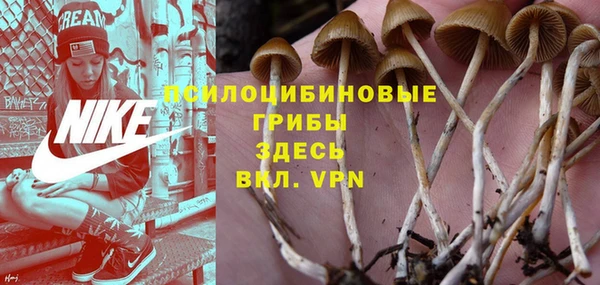 круглые Козельск