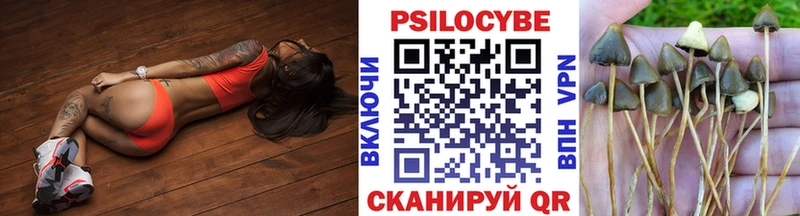 Псилоцибиновые грибы Cubensis  Мышкин 
